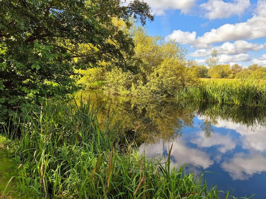 Stunning 5 Bedroom House On The River Wensum, Sleeps 19 NWI Exteriör bild